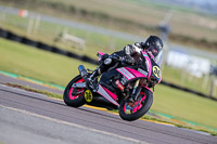 PJ-Motorsport-2019;anglesey-no-limits-trackday;anglesey-photographs;anglesey-trackday-photographs;enduro-digital-images;event-digital-images;eventdigitalimages;no-limits-trackdays;peter-wileman-photography;racing-digital-images;trac-mon;trackday-digital-images;trackday-photos;ty-croes